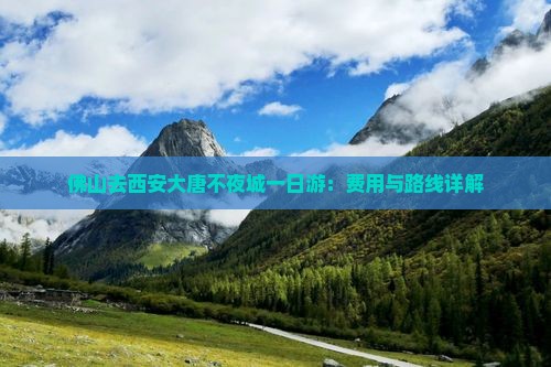 佛山去西安大唐不夜城一日游：费用与路线详解