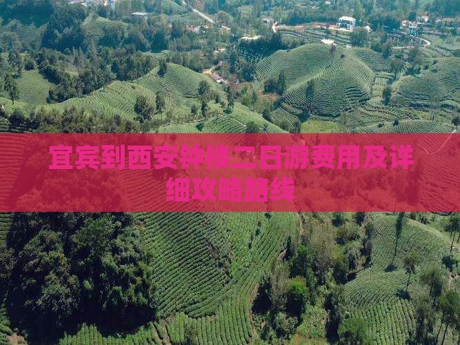 宜宾到西安钟楼二日游费用及详细攻略路线