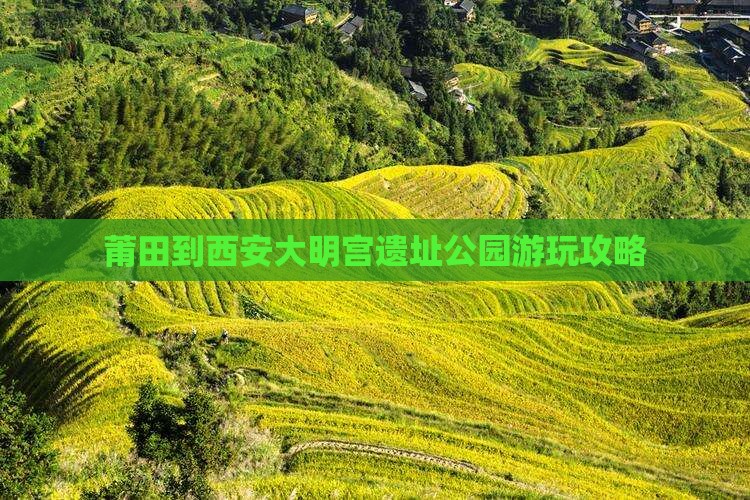 莆田到西安大明宫遗址公园游玩攻略