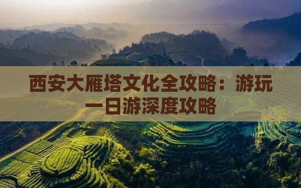 西安大雁塔文化全攻略：游玩一日游深度攻略