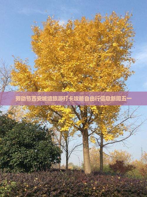 劳动节西安城墙旅游打卡攻略自由行信息新闻五一