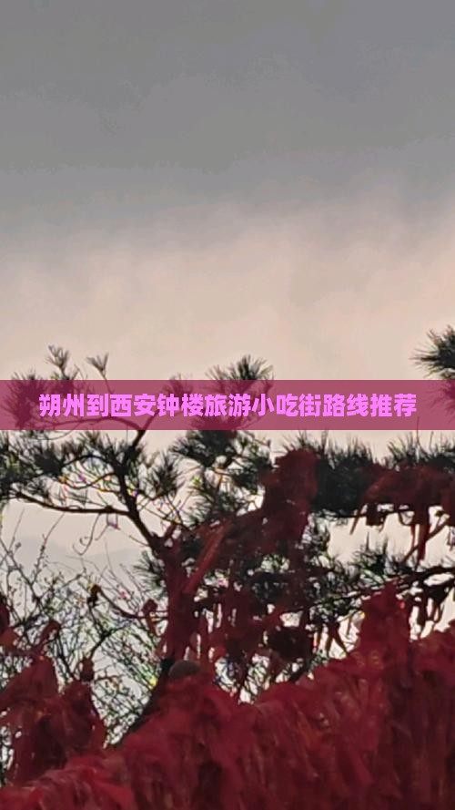 朔州到西安钟楼旅游小吃街路线推荐
