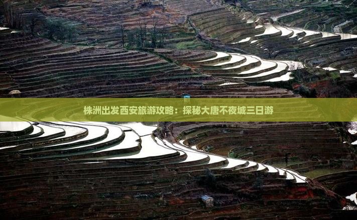 株洲出发西安旅游攻略：探秘大唐不夜城三日游