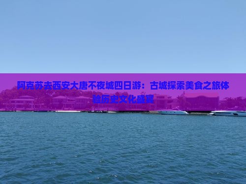 阿克苏去西安大唐不夜城四日游：古城探索美食之旅体验历史文化盛宴