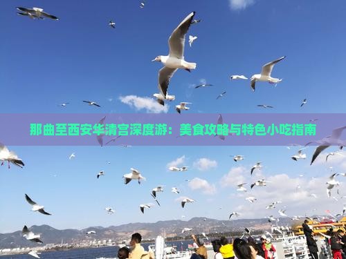 那曲至西安华清宫深度游：美食攻略与特色小吃指南