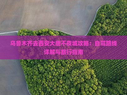 乌鲁木齐去西安大唐不夜城攻略：自驾路线详解与旅行指南