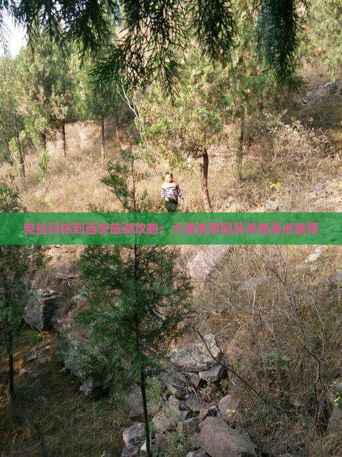 克拉玛依到西安旅游攻略：大唐芙蓉园及其他景点推荐