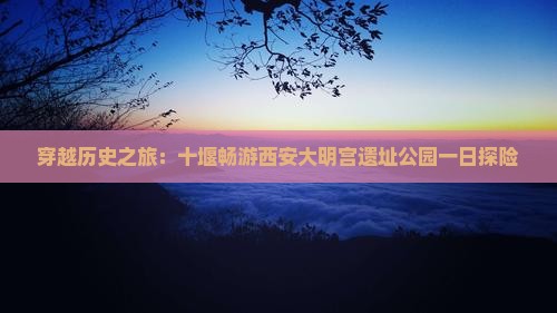 穿越历史之旅：十堰畅游西安大明宫遗址公园一日探险