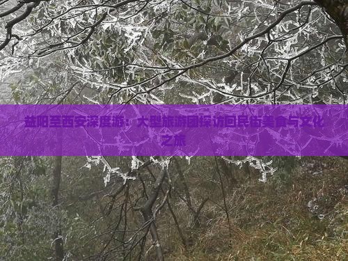 益阳至西安深度游：大型旅游团探访回民街美食与文化之旅