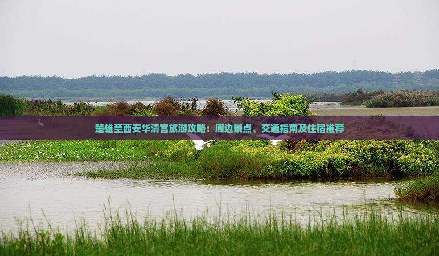 楚雄至西安华清宫旅游攻略：周边景点、交通指南及住宿推荐
