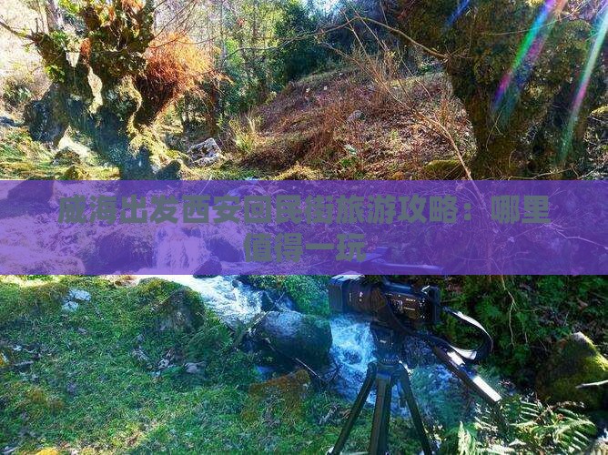 威海出发西安回民街旅游攻略：哪里值得一玩