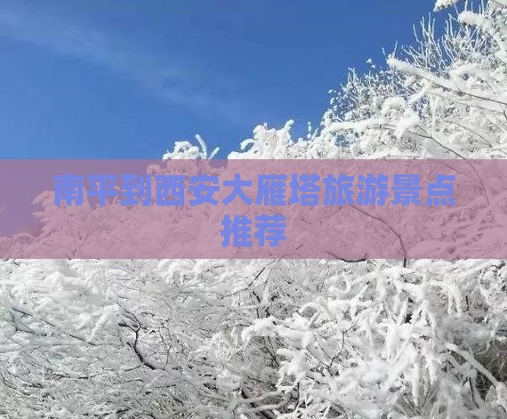 南平到西安大雁塔旅游景点推荐