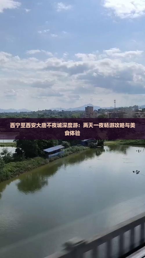 西宁至西安大唐不夜城深度游：两天一夜畅游攻略与美食体验