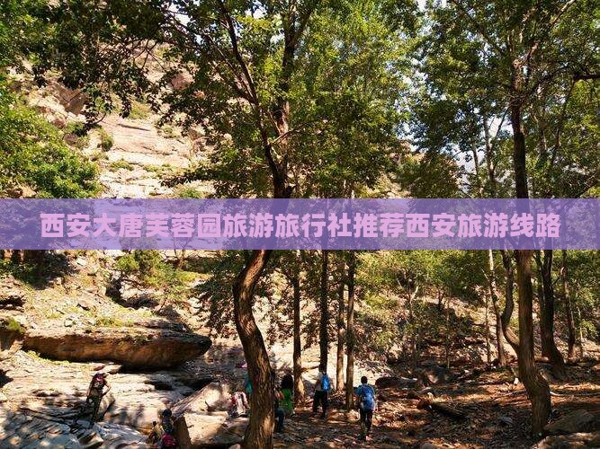 西安大唐芙蓉园旅游旅行社推荐西安旅游线路