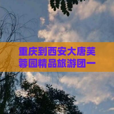 重庆到西安大唐芙蓉园精品旅游团一日游
