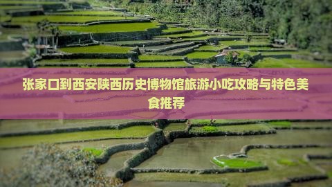 张家口到西安陕西历史博物馆旅游小吃攻略与特色美食推荐