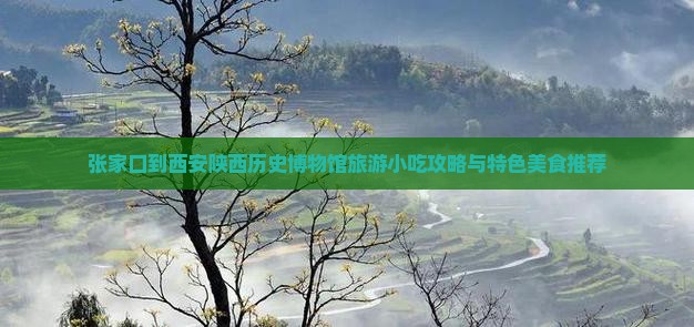 张家口到西安陕西历史博物馆旅游小吃攻略与特色美食推荐