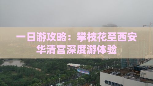 一日游攻略：攀枝花至西安华清宫深度游体验