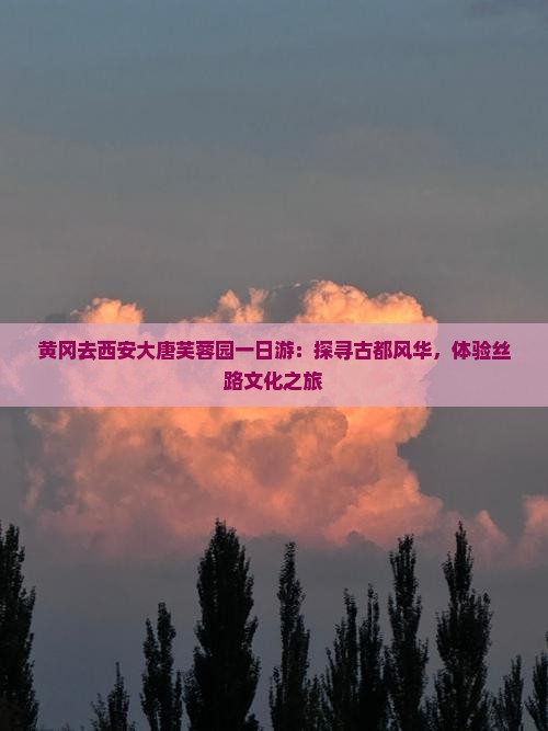 黄冈去西安大唐芙蓉园一日游：探寻古都风华，体验丝路文化之旅