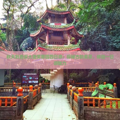 秋天到西安大唐芙蓉园四日游：探秘古韵美景，体验一日游魅力