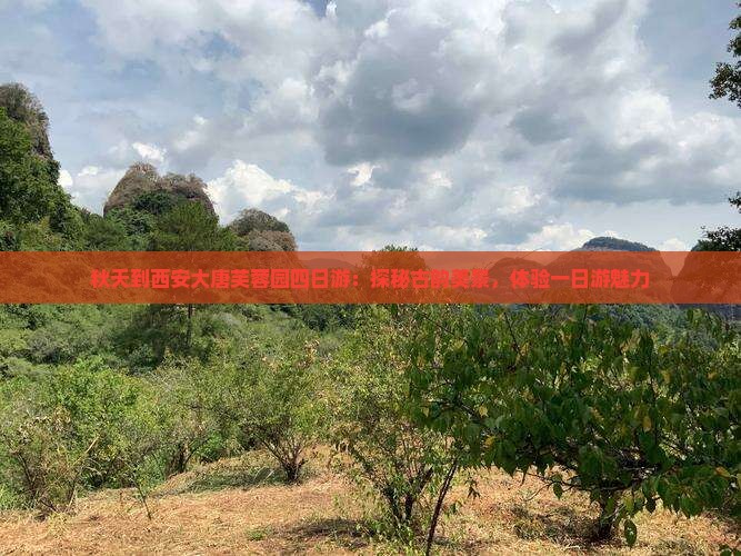 秋天到西安大唐芙蓉园四日游：探秘古韵美景，体验一日游魅力