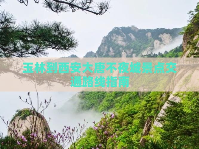 玉林到西安大唐不夜城景点交通路线指南