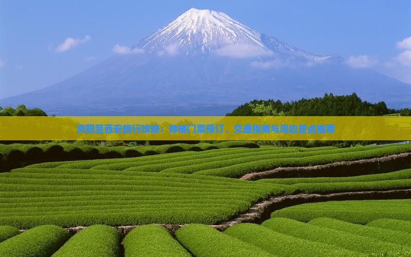 资阳至西安旅行攻略：钟楼门票预订、交通指南与周边景点推荐