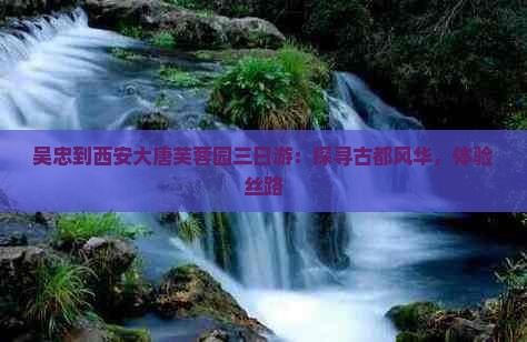 吴忠到西安大唐芙蓉园三日游：探寻古都风华，体验丝路