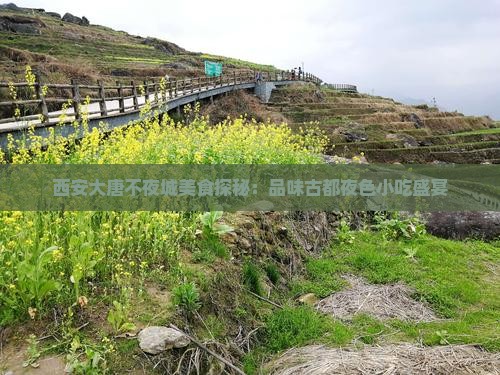 西安大唐不夜城美食探秘：品味古都夜色小吃盛宴