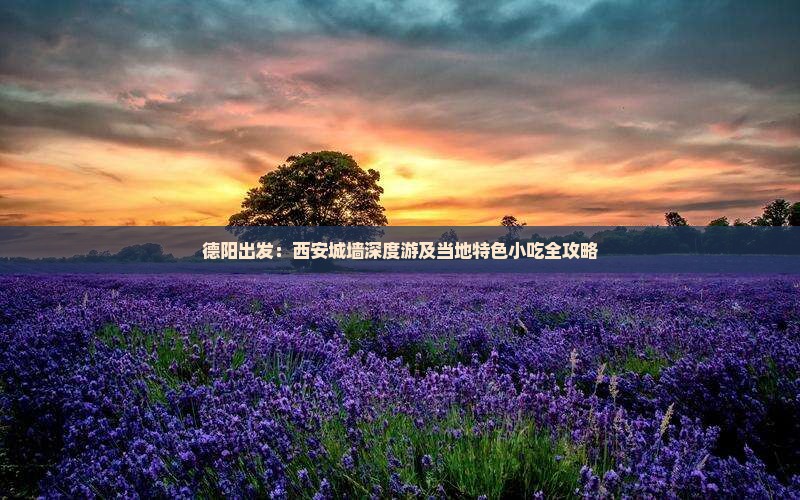 德阳出发：西安城墙深度游及当地特色小吃全攻略