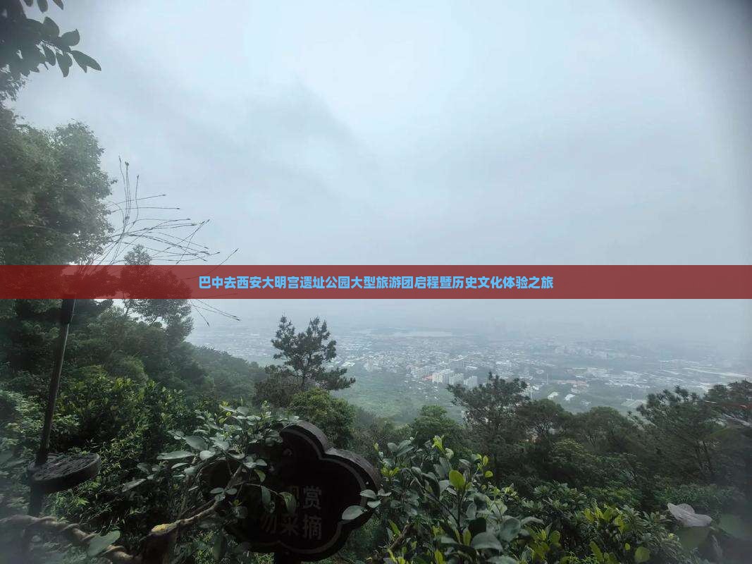巴中去西安大明宫遗址公园大型旅游团启程暨历史文化体验之旅