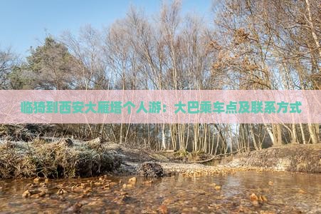 临猗到西安大雁塔个人游：大巴乘车点及联系方式