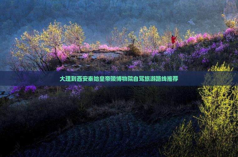 大理到西安秦始皇帝陵博物院自驾旅游路线推荐