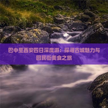 巴中至西安四日深度游：探寻古城魅力与回民街美食之旅