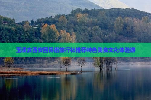 玉溪去西安回民街旅行社推荐特色美食文化体验游