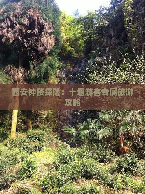 西安钟楼探险：十堰游客专属旅游攻略