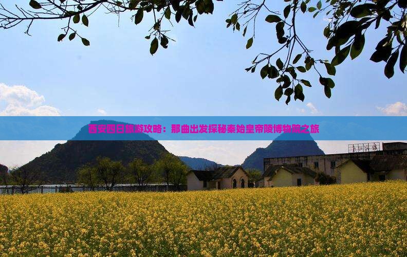 西安四日旅游攻略：那曲出发探秘秦始皇帝陵博物院之旅