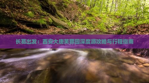长葛出发：西安大唐芙蓉园深度游攻略与行程指南