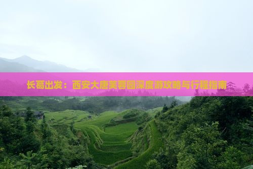长葛出发：西安大唐芙蓉园深度游攻略与行程指南