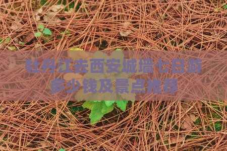 牡丹江去西安城墙七日游多少钱及景点推荐