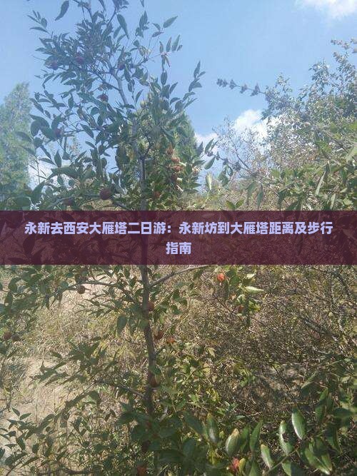 永新去西安大雁塔二日游：永新坊到大雁塔距离及步行指南