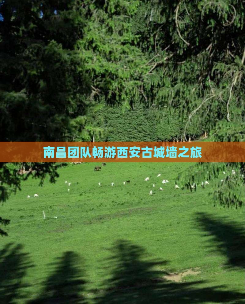 南昌团队畅游西安古城墙之旅