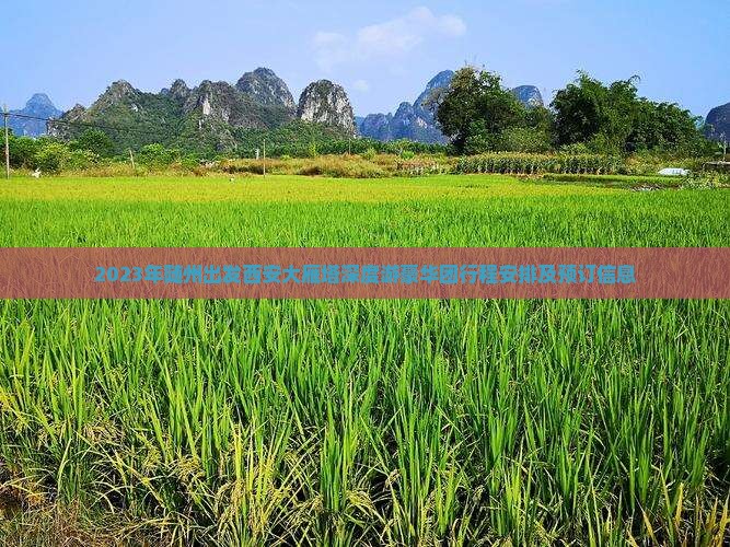2023年随州出发西安大雁塔深度游豪华团行程安排及预订信息