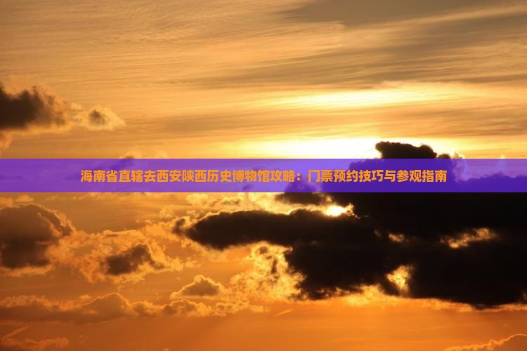 海南省直辖去西安陕西历史博物馆攻略：门票预约技巧与参观指南