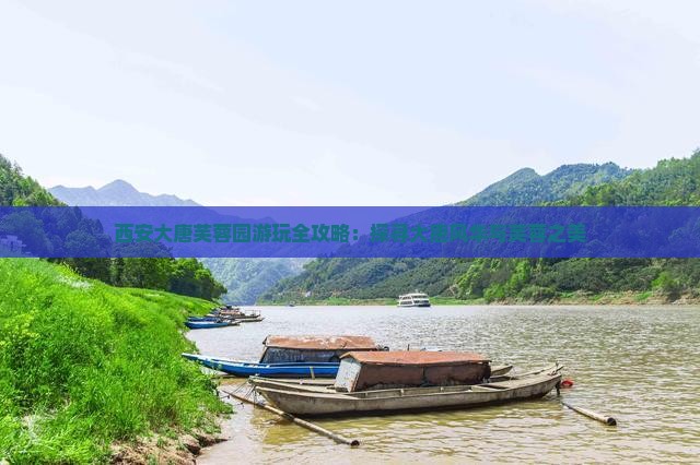 西安大唐芙蓉园游玩全攻略：探寻大唐风华与芙蓉之美