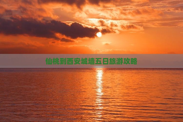 仙桃到西安城墙五日旅游攻略