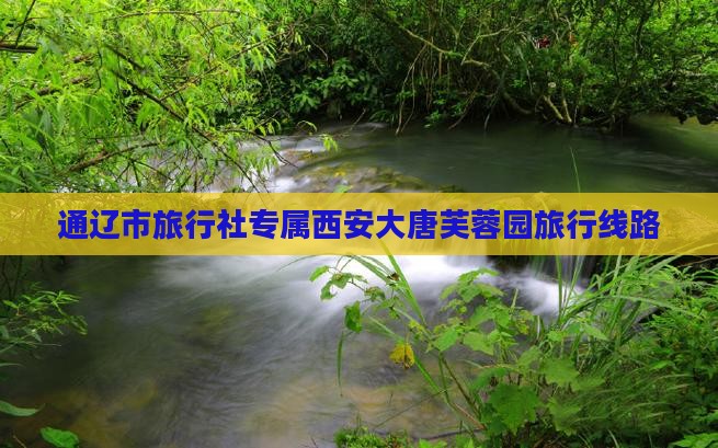 通辽市旅行社专属西安大唐芙蓉园旅行线路