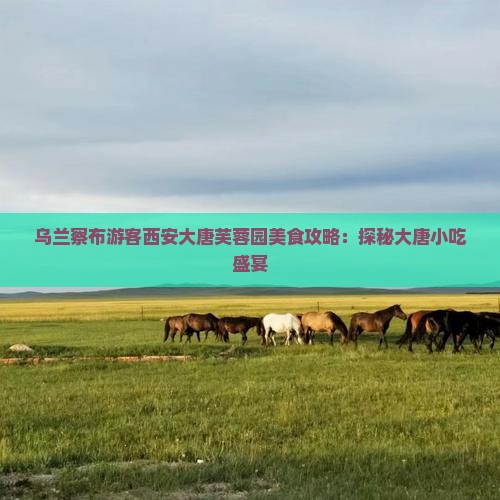 乌兰察布游客西安大唐芙蓉园美食攻略：探秘大唐小吃盛宴