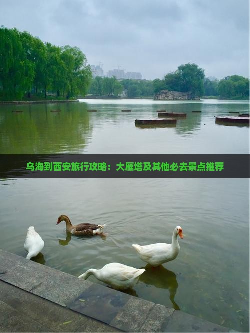 乌海到西安旅行攻略：大雁塔及其他必去景点推荐