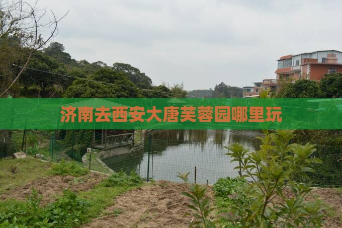 济南去西安大唐芙蓉园哪里玩
